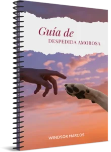 Bono 1 Sanando el corazón tras la pérdida de tu Mascota